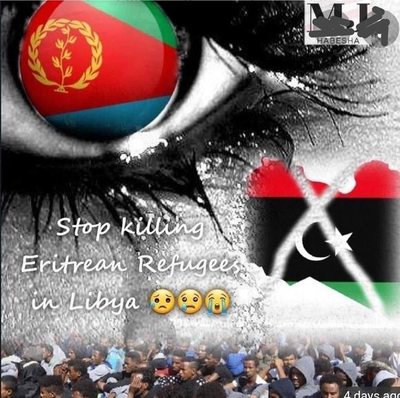 Meet your Posher, Yohannes - Picture 1 of 1